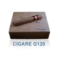 Cigare Electronique Rechargeable Greencig G120